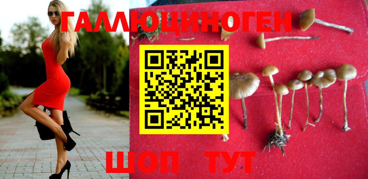 Рославль  Псилоцибиновые грибы Psilocybine cubensis  Вход с VPN  магазин  наркотиков  Галлюциногенные грибы мухоморы 