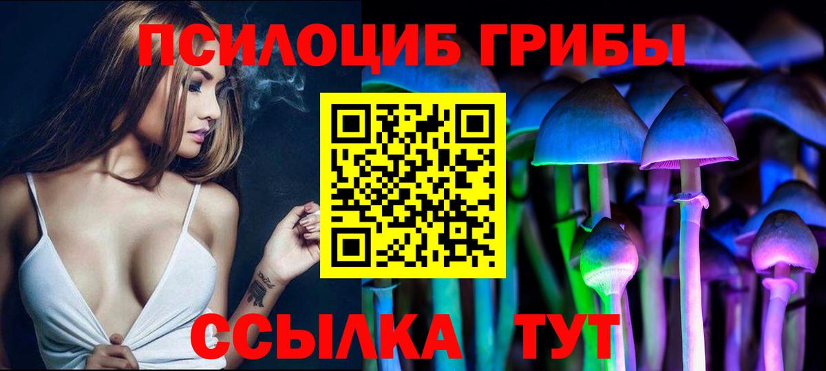 Галлюциногенные грибы Cubensis Рославль